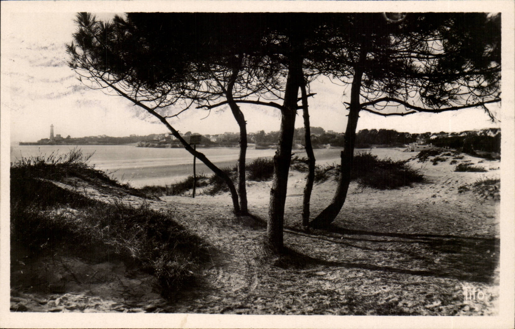 St Georges de Didonne CPA the beach through pines