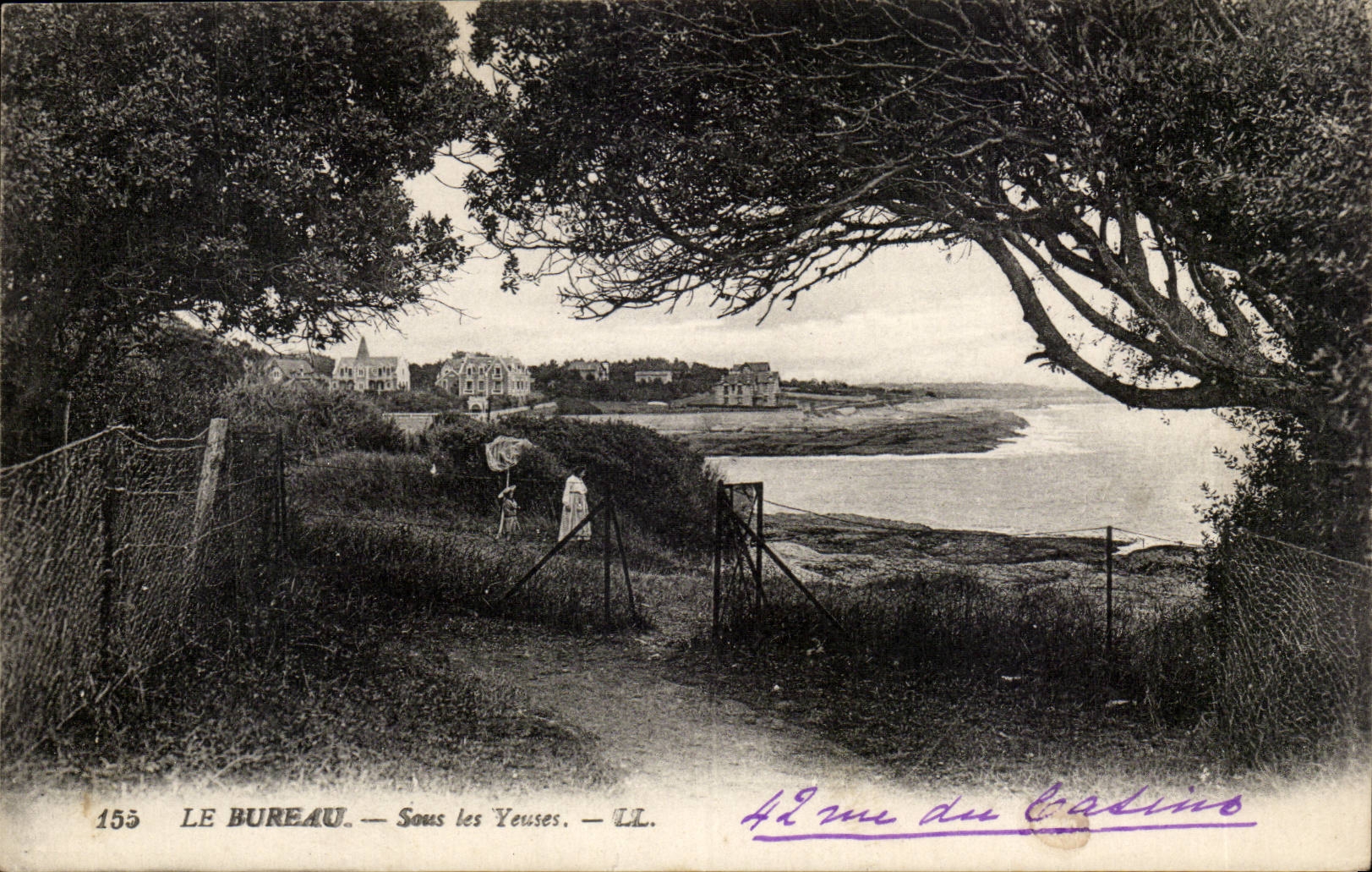 Office CPA Under Yeuses