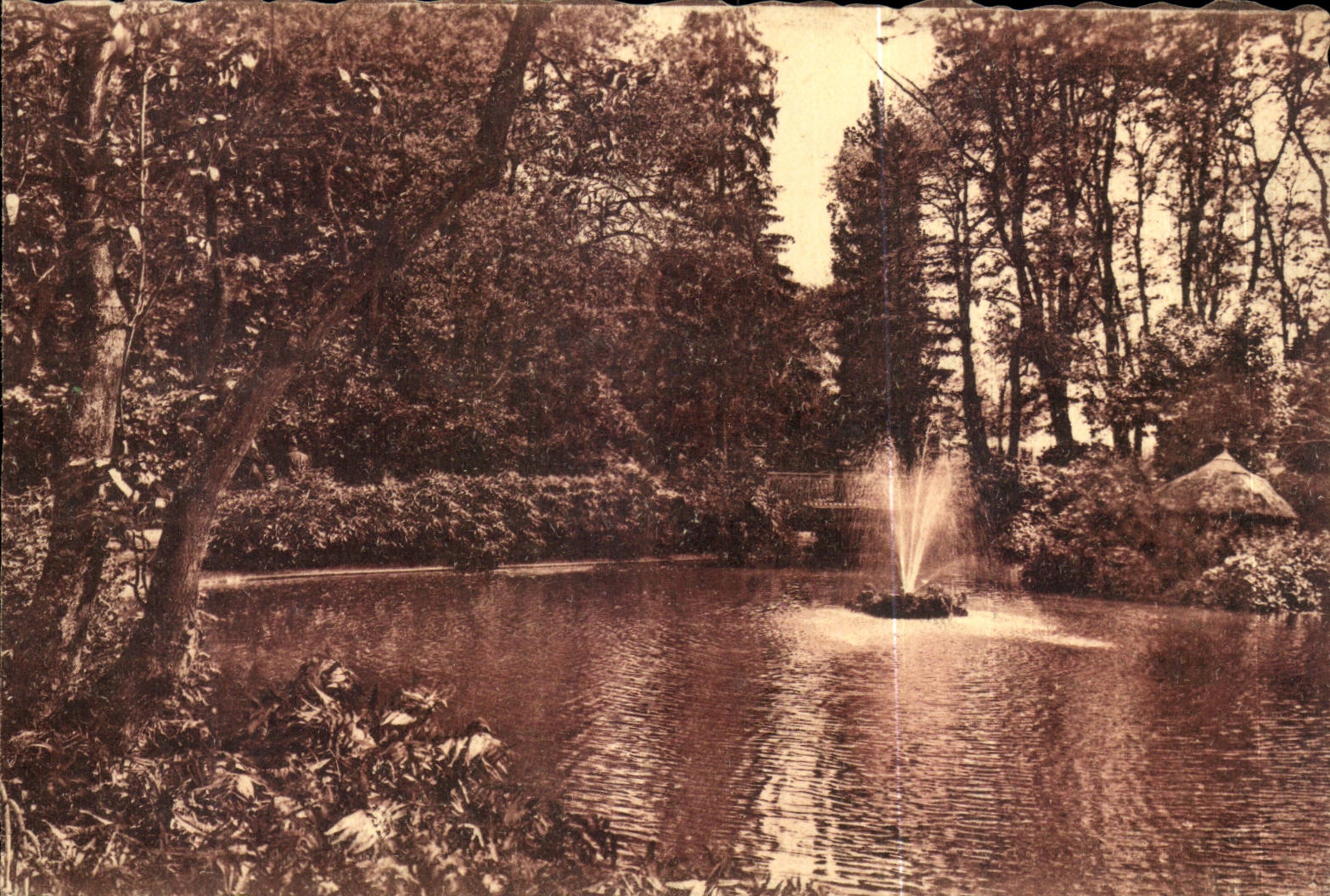 Vichy CPA the basin in new the park