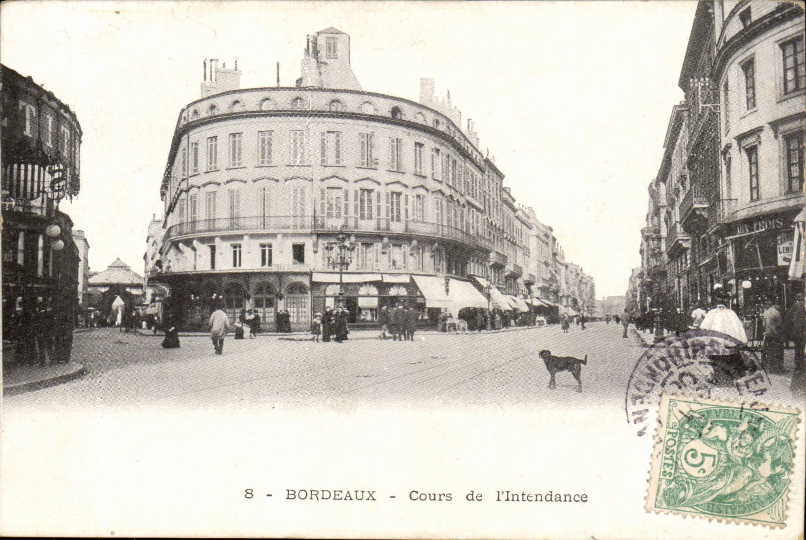 Bordeaux - Course of the Intendance - dog - CPA