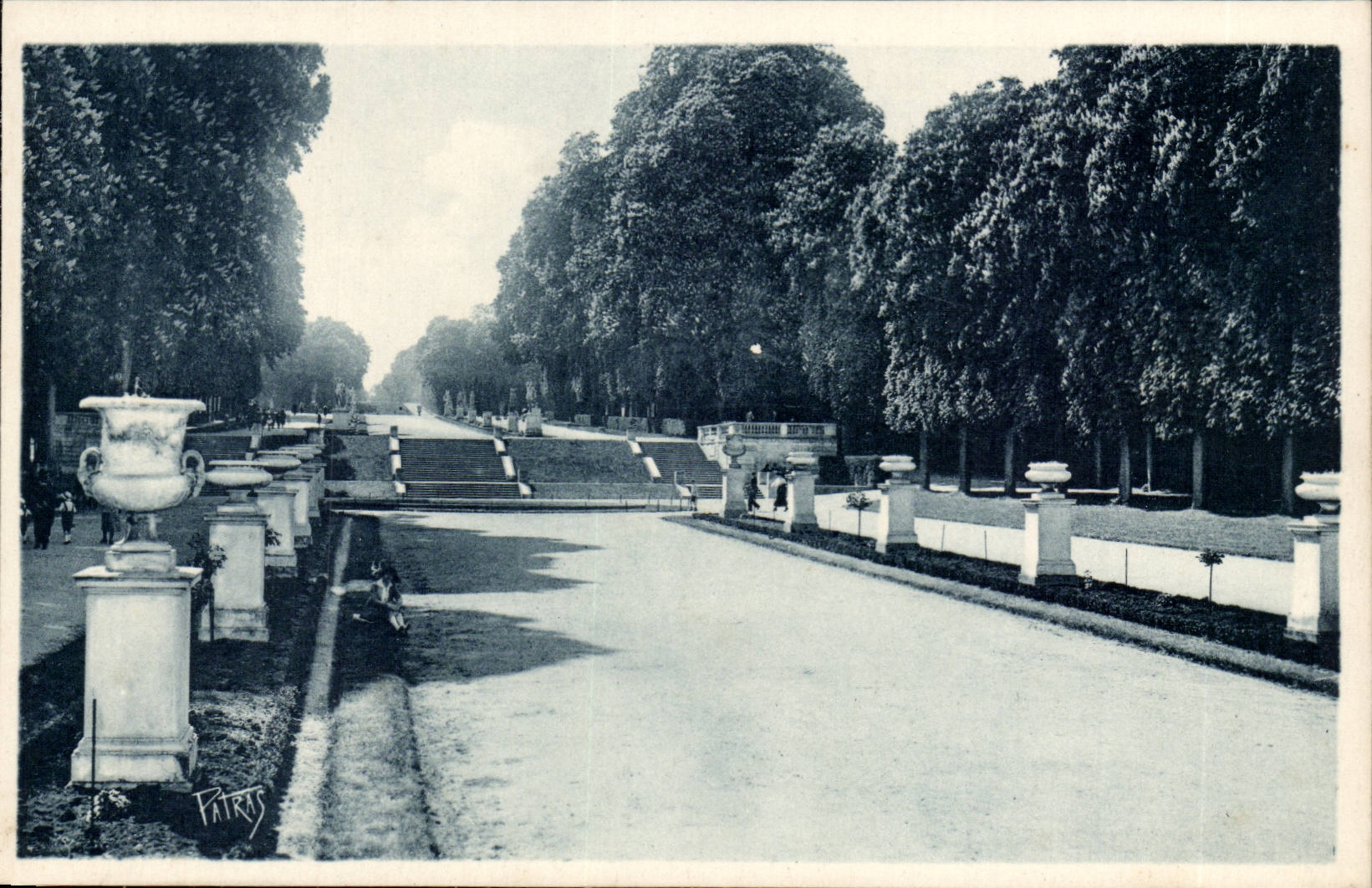 Saint Cloud CPA Le parc Les parterres et l'allee de Marnes