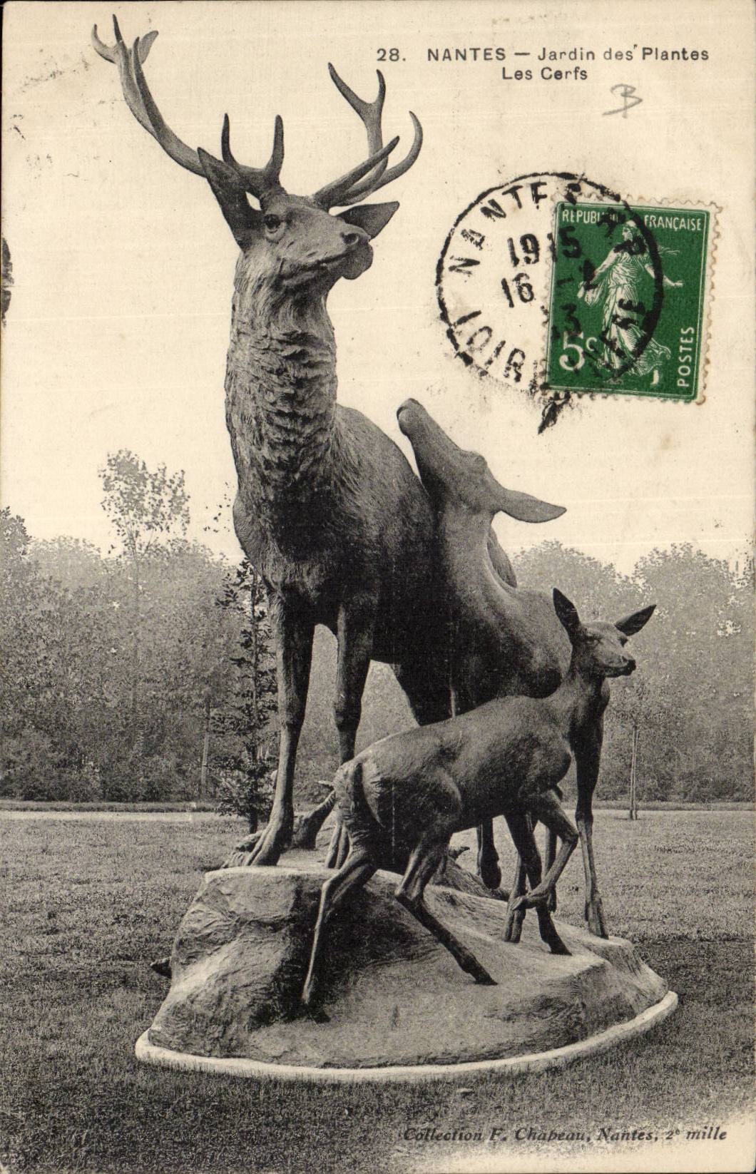 Hirsche botanischen Gartens des Nantes-CPA