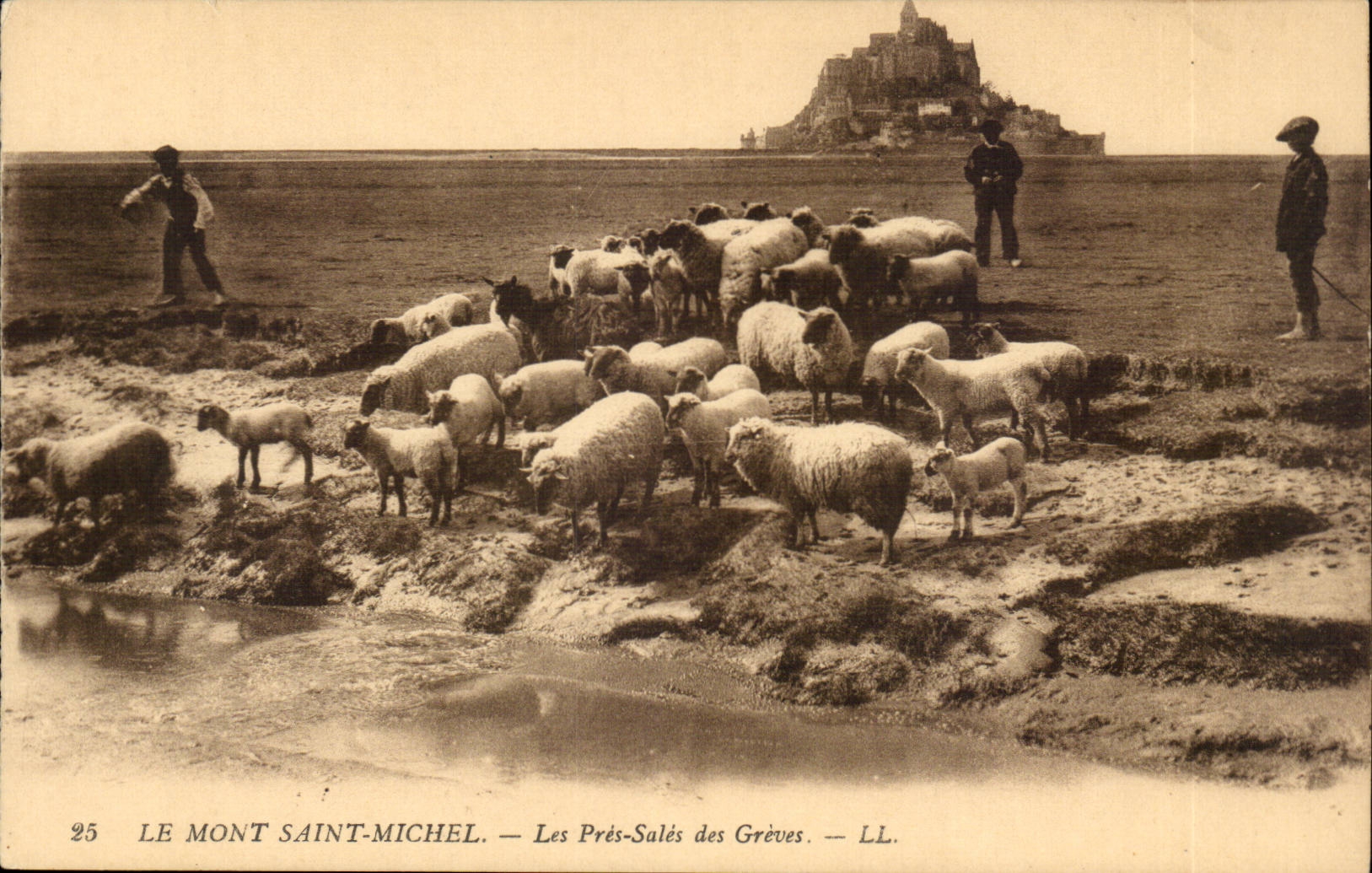 Holy mount Michel CPA close to the strikes Sheep