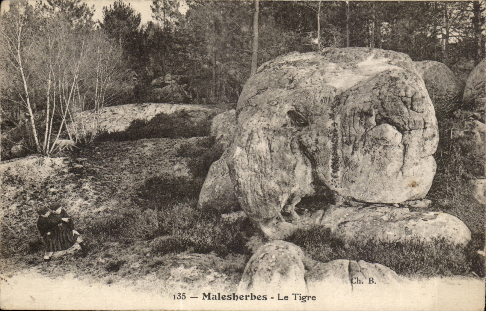 Malesherbes CPA the tiger (iger)