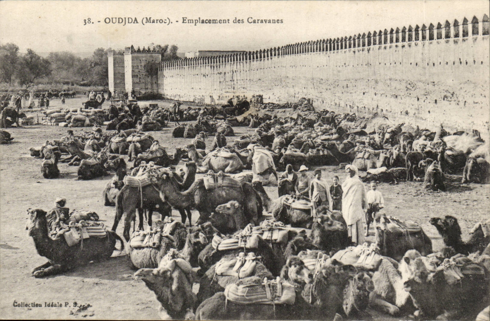 Morocco Oudja CPA Site of the caravans (camel dromedary camel)