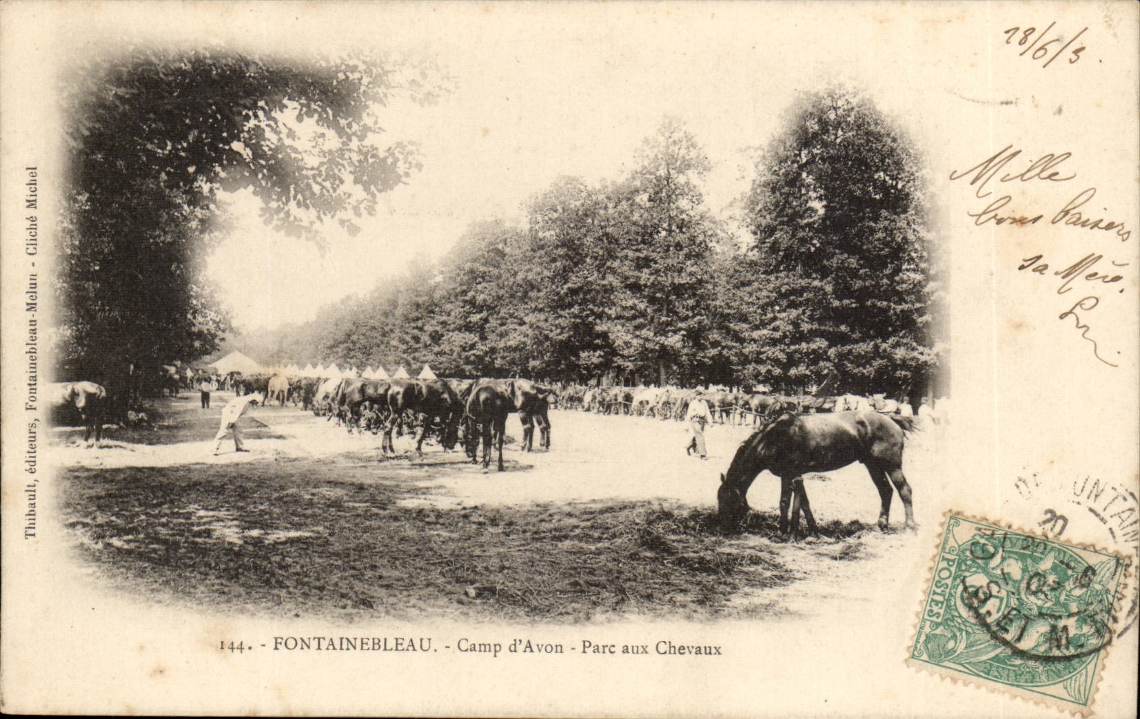 fontainebleau Pa Camp of Avon Park to the horses