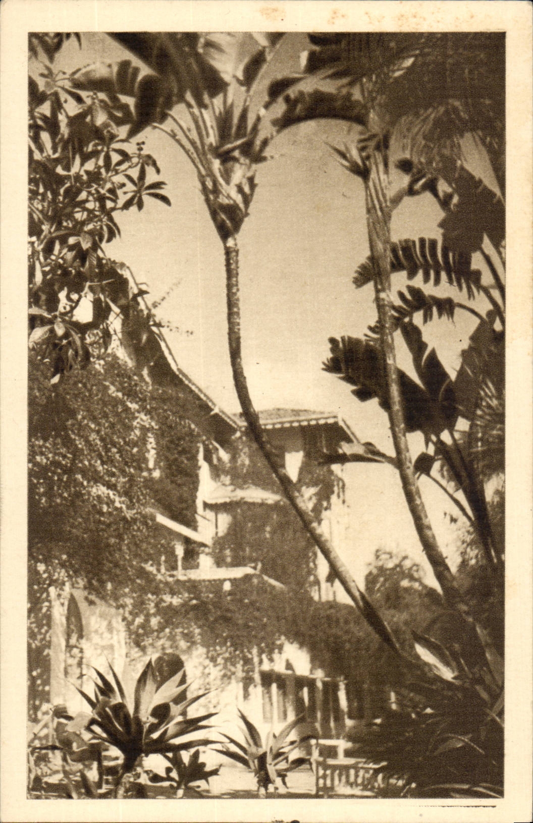 Hotel-Str George Algerien-Algiers CPA