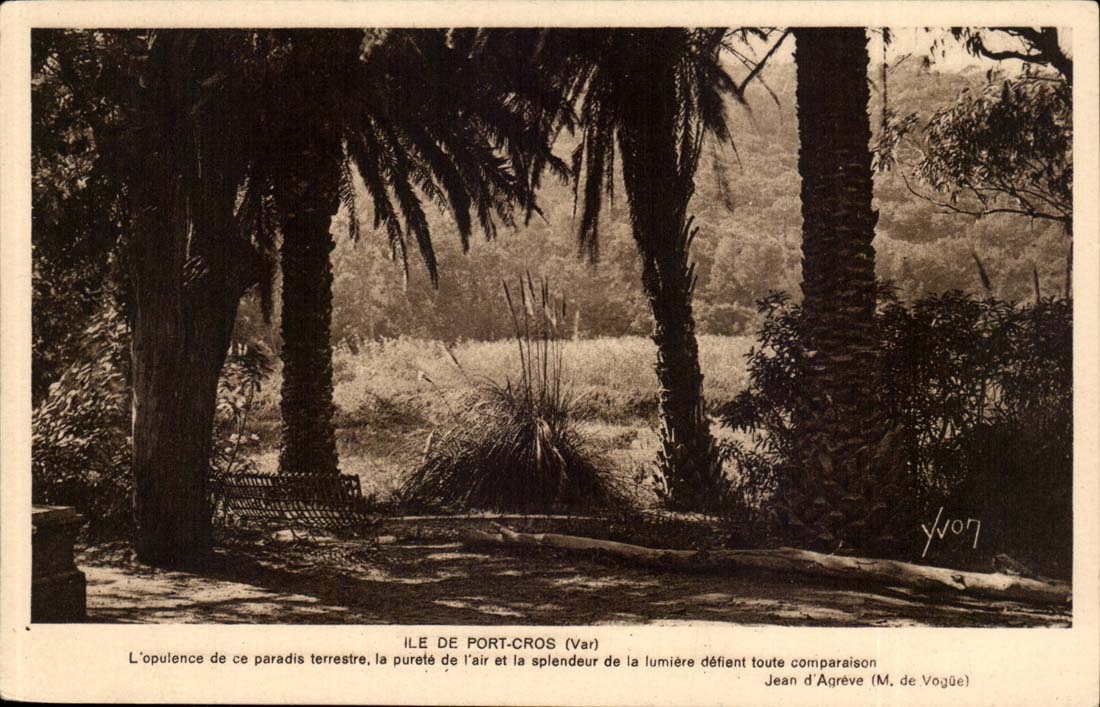 CPA Ile de Port Cros Parc de l'hostellerie provencale