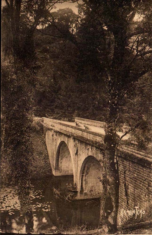 CPA Bereich von Fontenay der Zahlimpuls Foret von Mervent Vouvant die Brucke der Diat