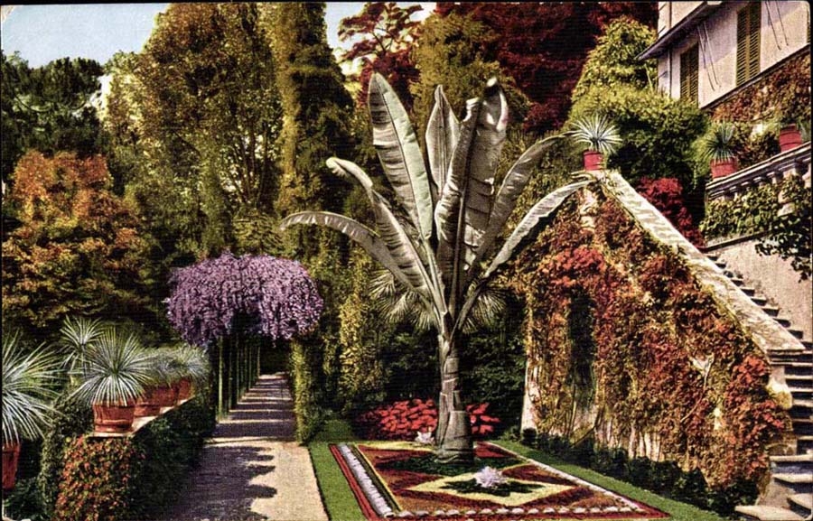 Suisse Lago di Como CPA Cadenabbia Giarcino della Villa Carlotta