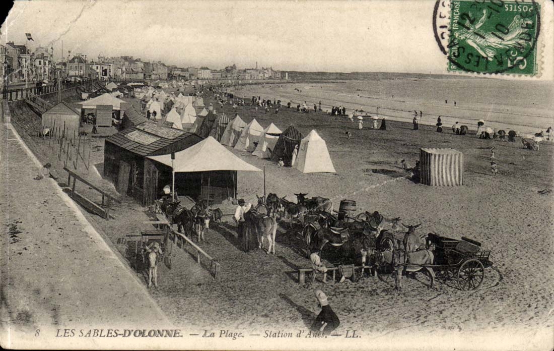 Sands of olonne CPA the beach (ass donkey)