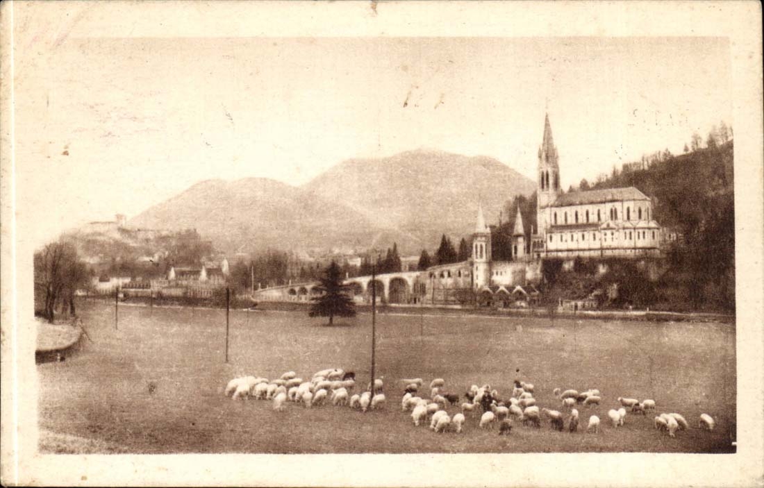 Lourdes - the Basilica and the Peak of Jer - sheep CPA