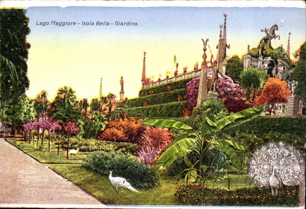 Italy - Italy - Lago Maggiore - Insulated Bleated - Giardino - CPA