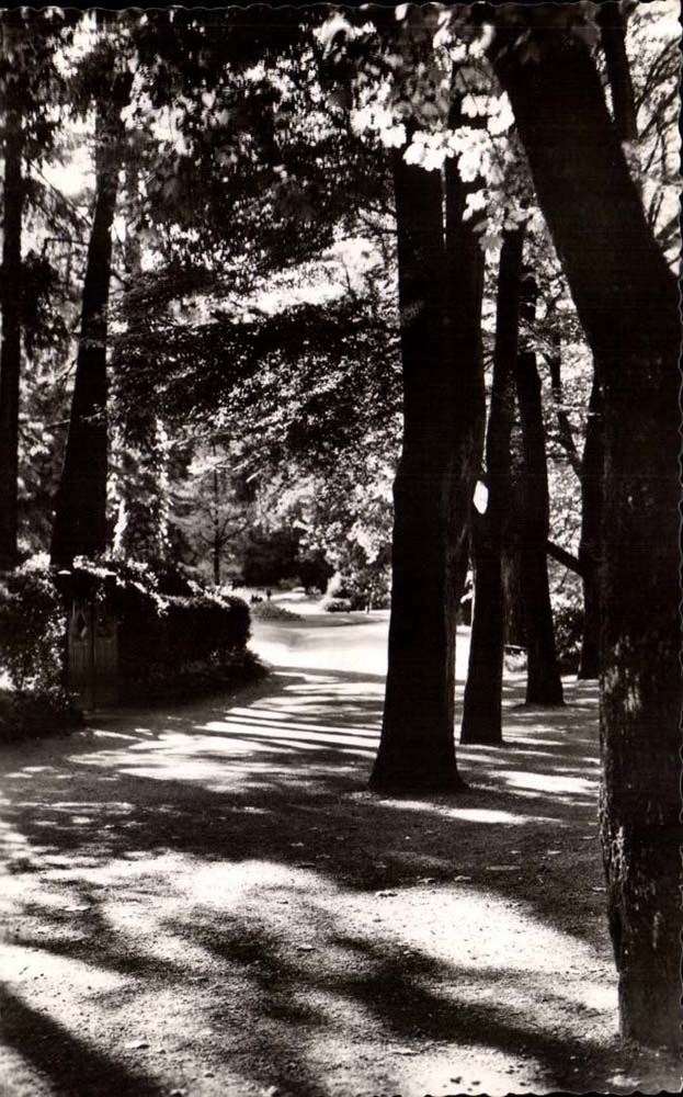 Besancon CPA Micaud Walk