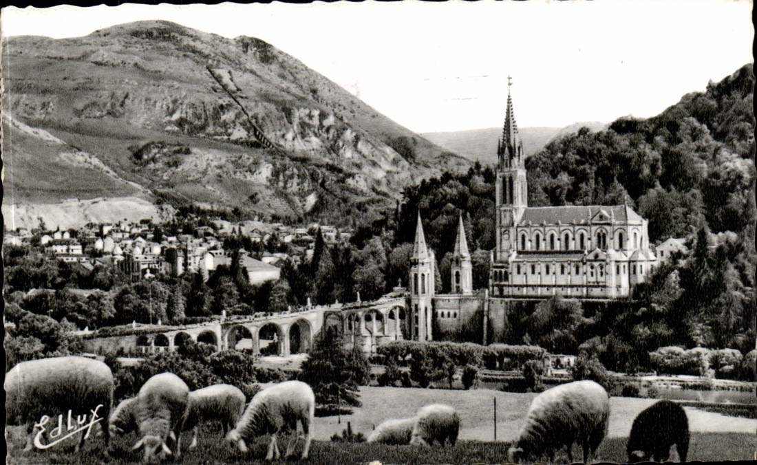 Lourdes CPA the basilica and the peak of the Day (sheep)