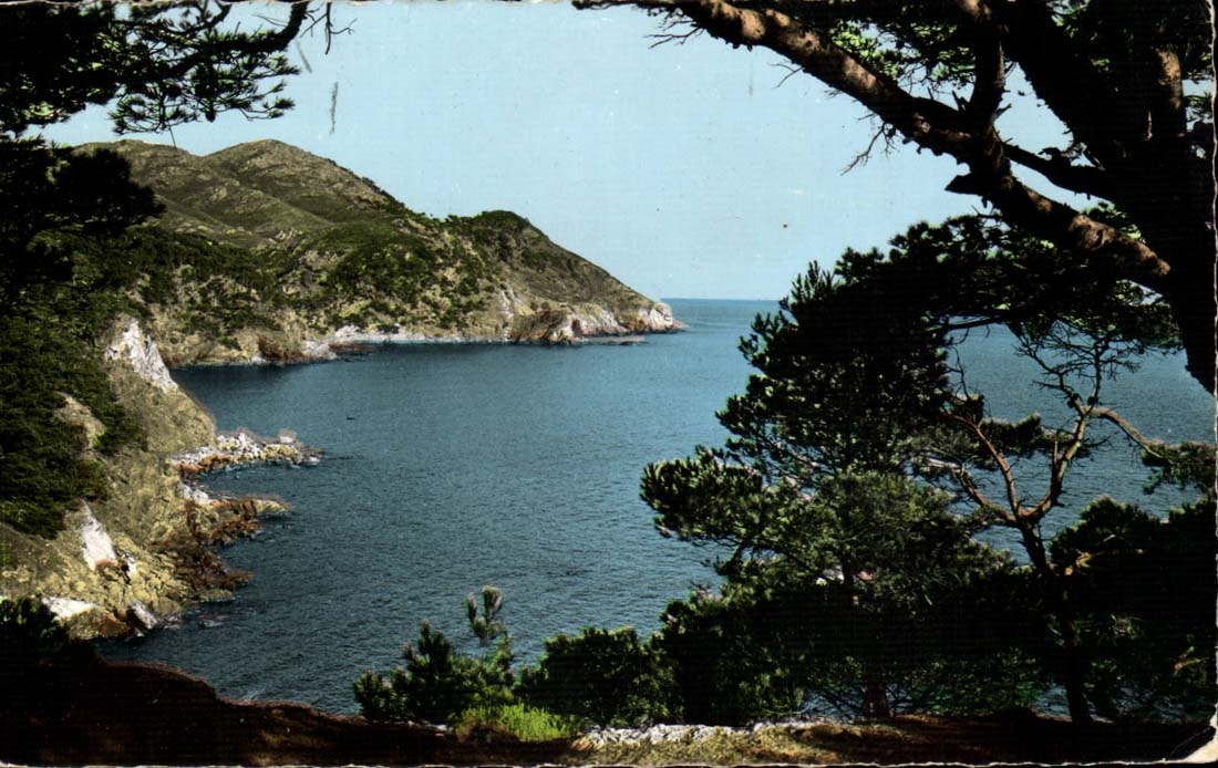 Le Brusc CPA Vue sur le Mont Salvat