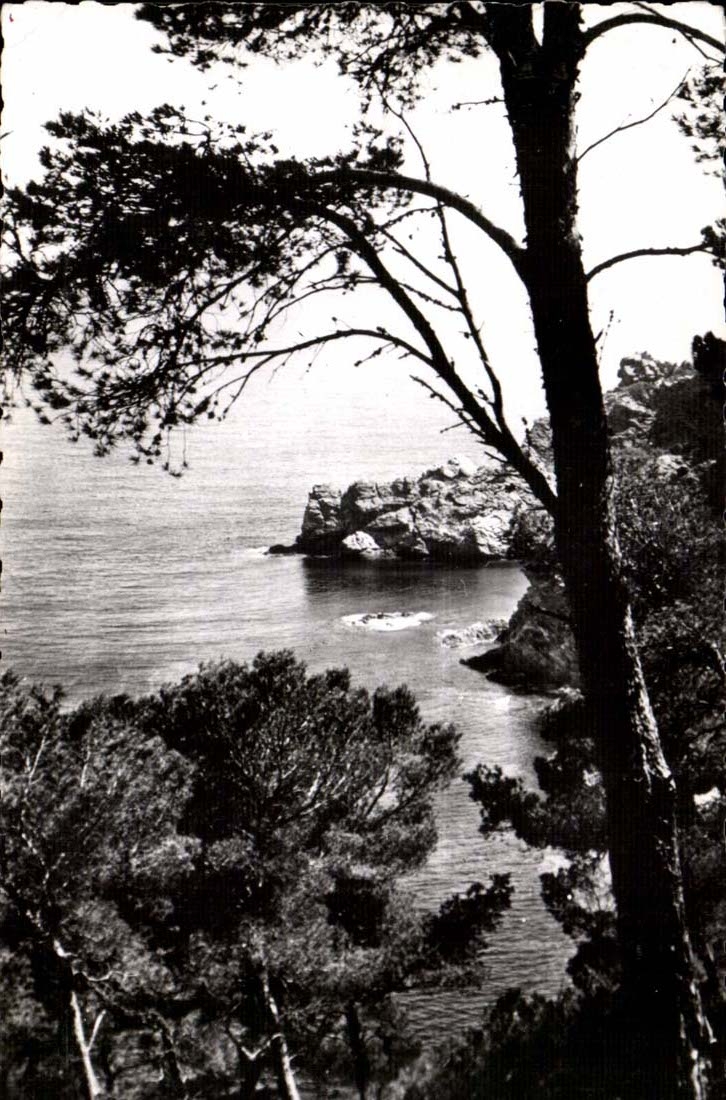 Island of Porquerolles CPA Seaside Towards the large Hold