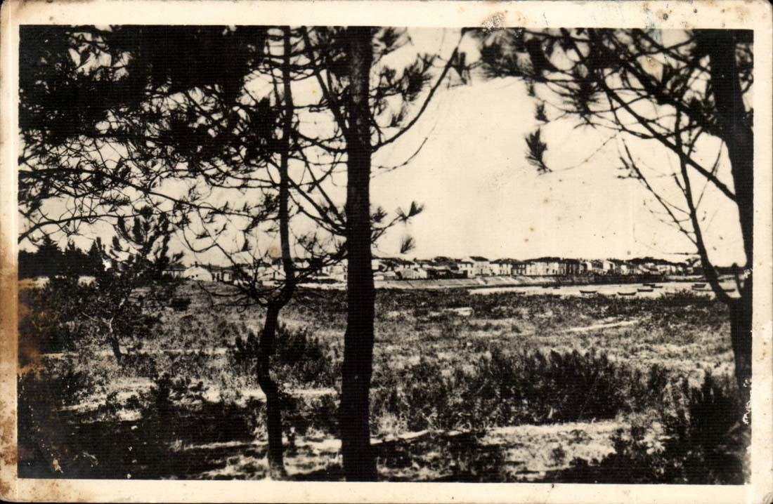 Ile de Re - Rivedoux seen of Drill of Pines - CPA