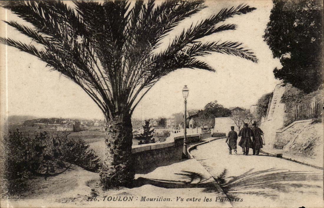 Toulon - Mourillon seen between the palm trees - CPA