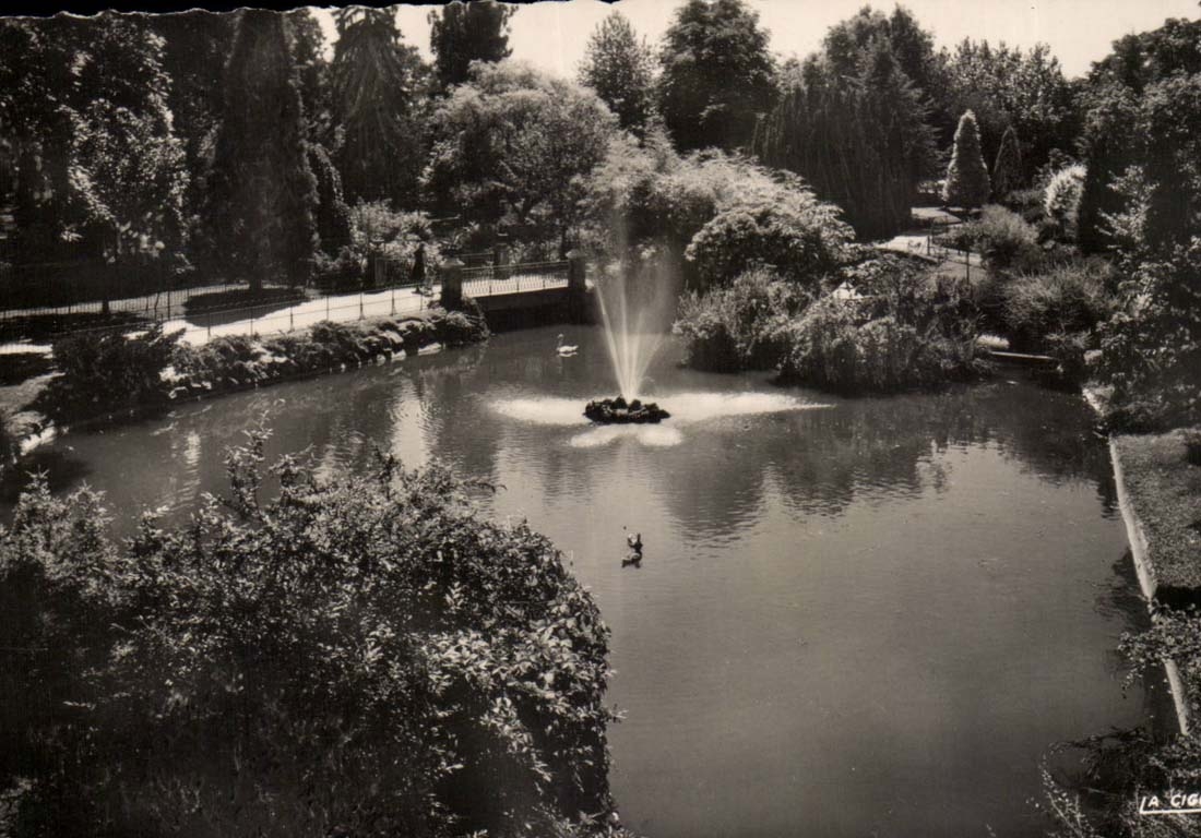 Vichy - Queen of the Towns of Water - the Basin of the Swans in the Large Parks - CPA