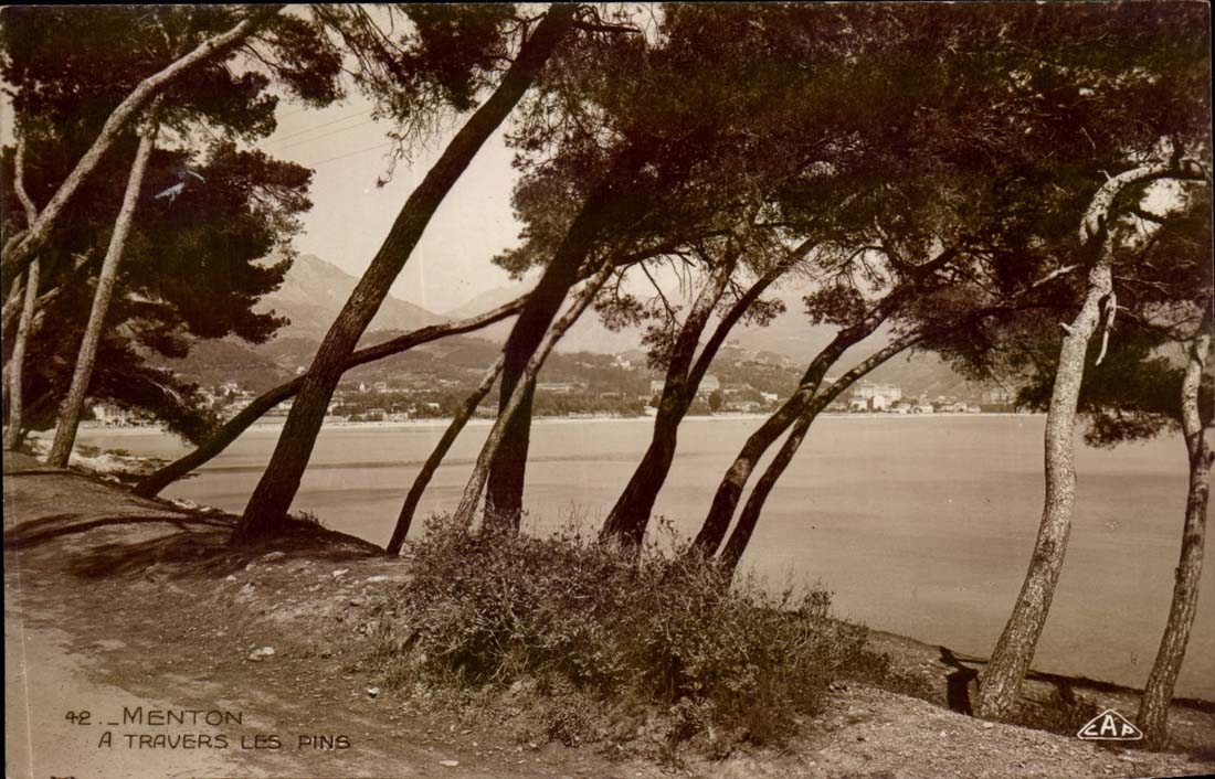 Menton - Through the Pines - CPA