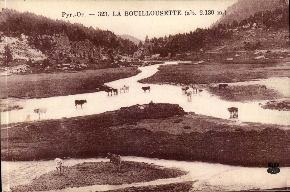 Bouillousette CPA (Kuhe)