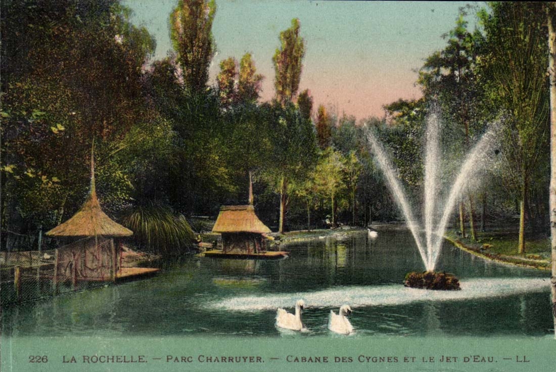 La Rochelle CPA Parc Charruyer kippt Schwane und den Strahl des Wassers