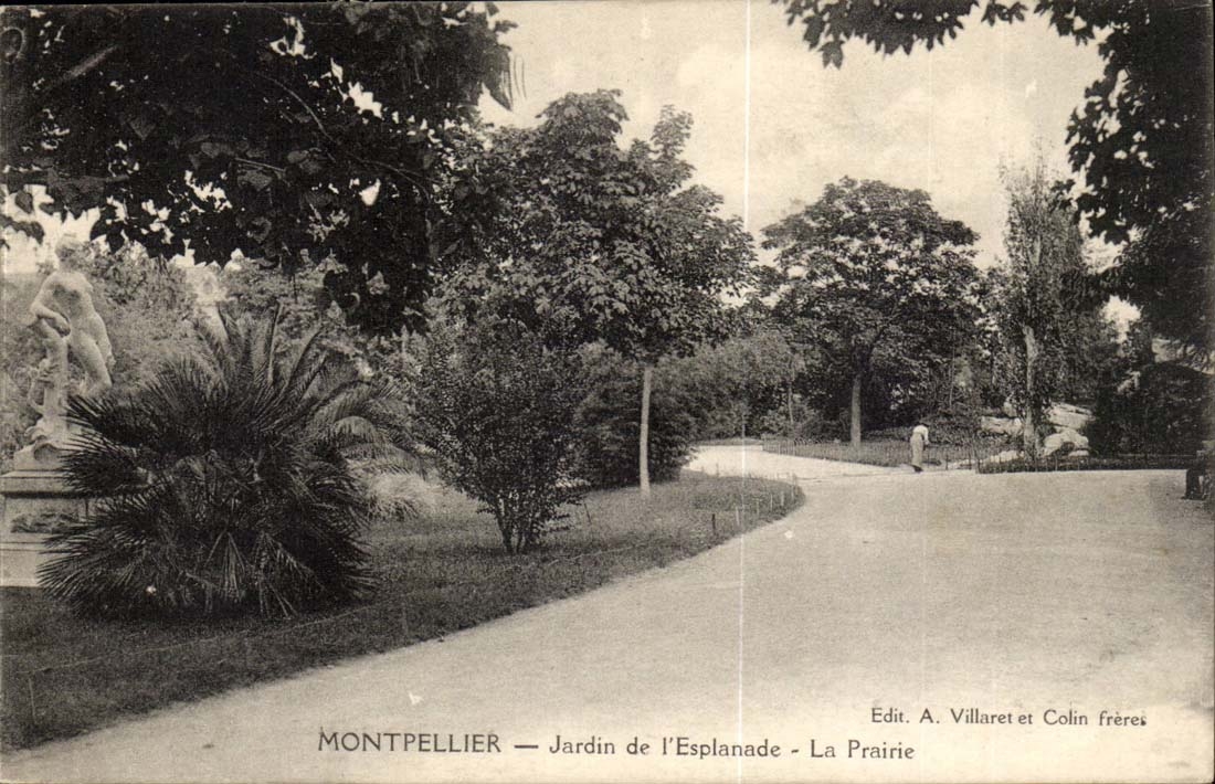 Montpellier - Jardin de l'Esplanade - CPA 