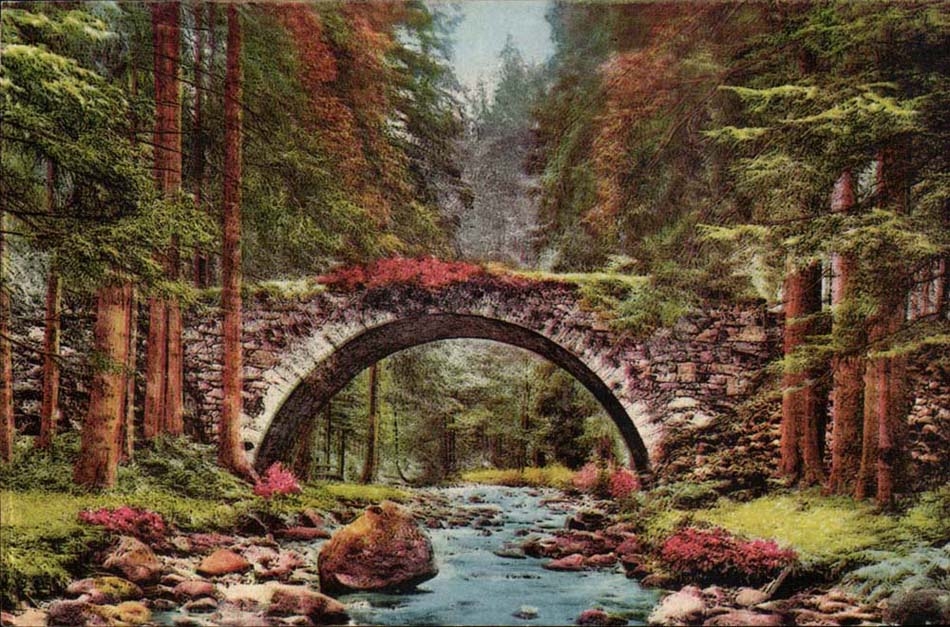 Gerardmer CPA the bridge of the fairies