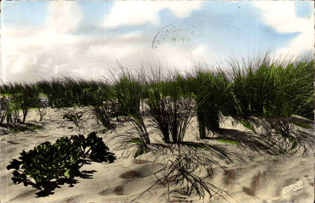 Dimension Atlantic - Evening of Storm on the dune - CPA
