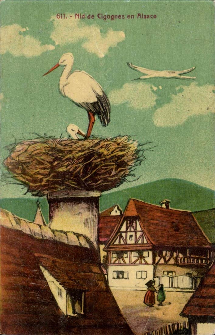 Nest of Storks in Alsace - CPA