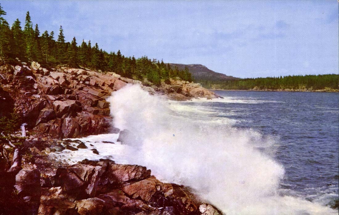 The United States MODERN CARD Surfing along Ocean drive Bar Harbor Acadia National Park Maine