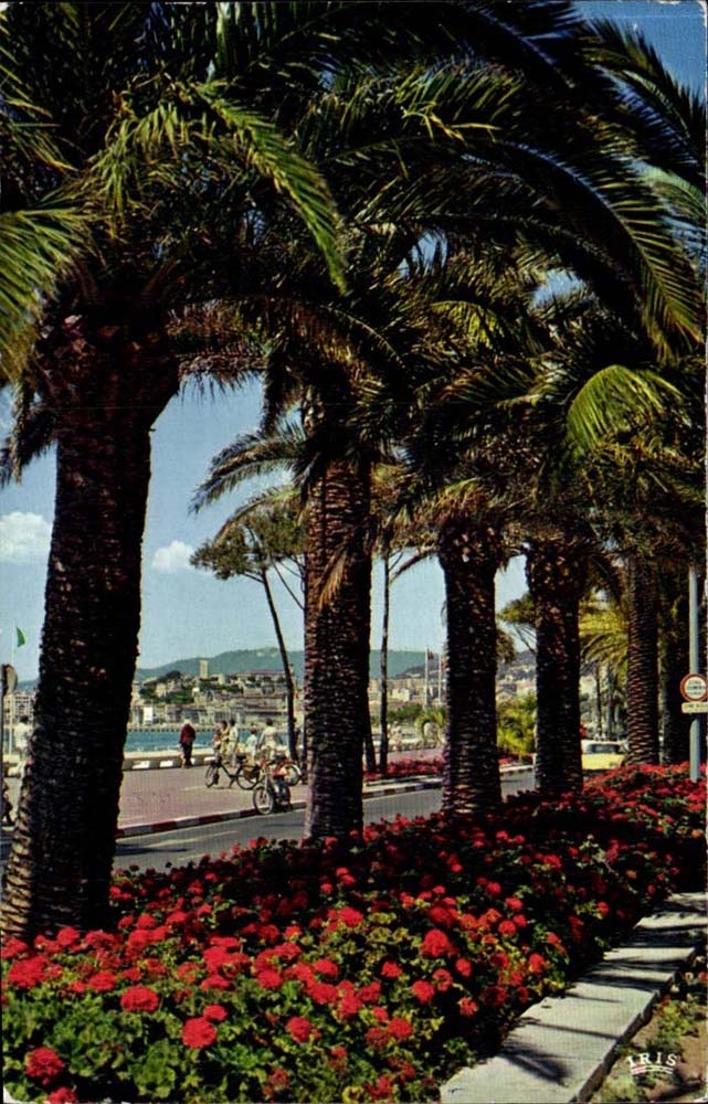 Cannes - Frebch Riviera - the Small cross - CPA