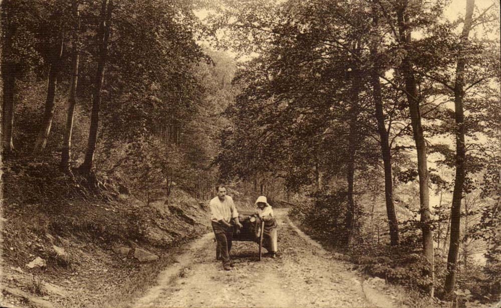 CPA Rochefort Landscape with the wood of Falizes (peasant in the drill trades)