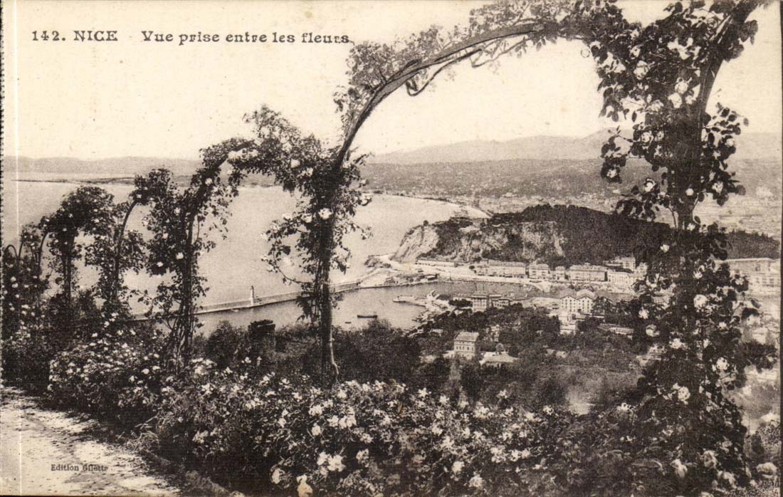 Nice CPA Seen from between the flowers