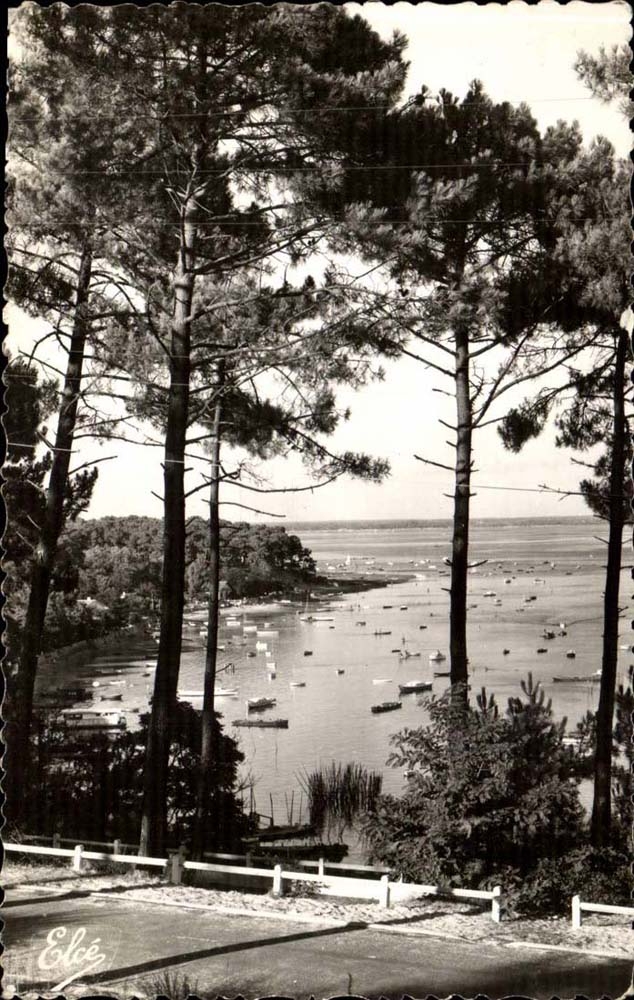 Bassin d'Arcachon CPM Echappee sur le bassin