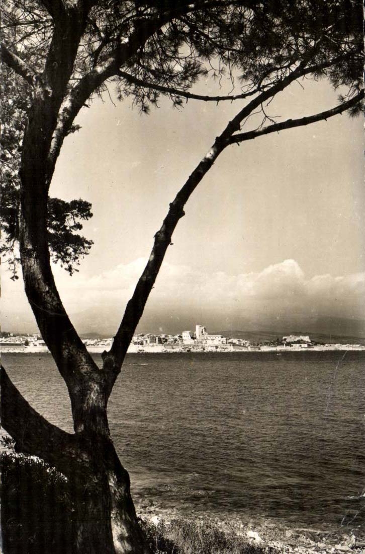 Antibes CPA das auf die alte Stadt und das starke gesehen wird quadriert