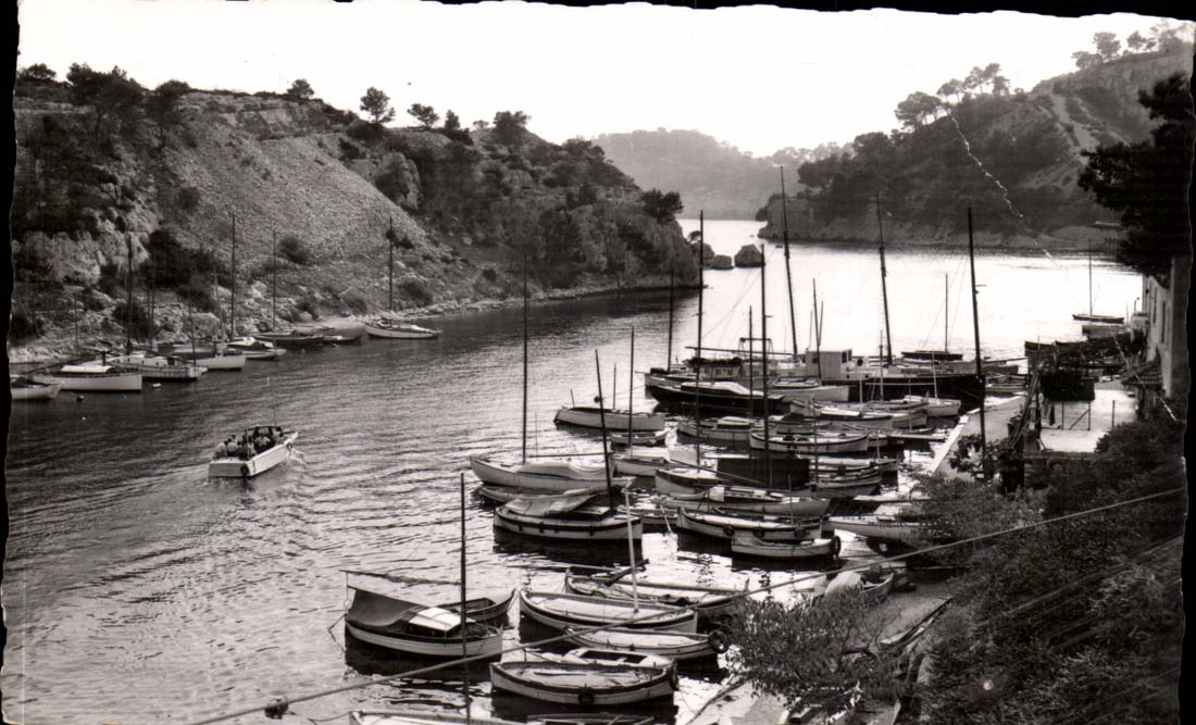 Blackcurrant MODERN CARD Creek of the Miou port