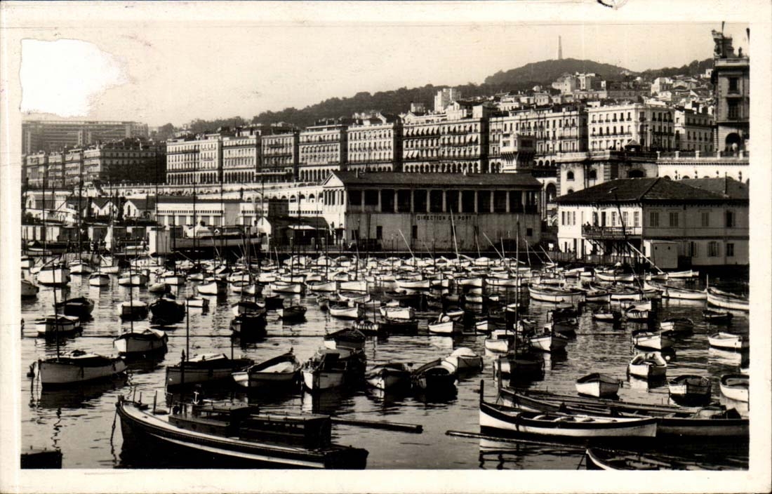 Alerie Algiers MODERN CARD Boulevard of the Republic and Carnot boulevard