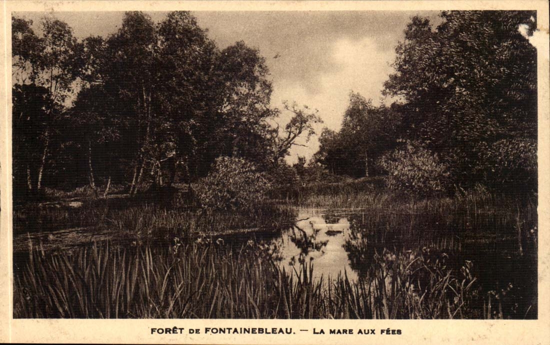 Drill of Fontainebleau CPA the pond with the fairies