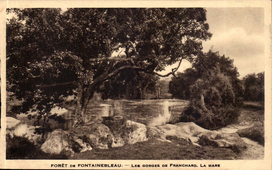 Drill of Fontainebleau CPA throats of Franchard the pond