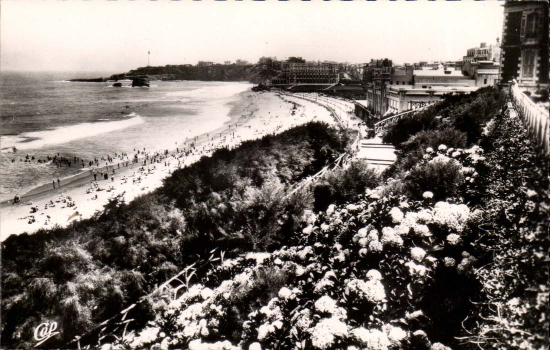 Biarritz CPA Les Hortensias et la grande plage