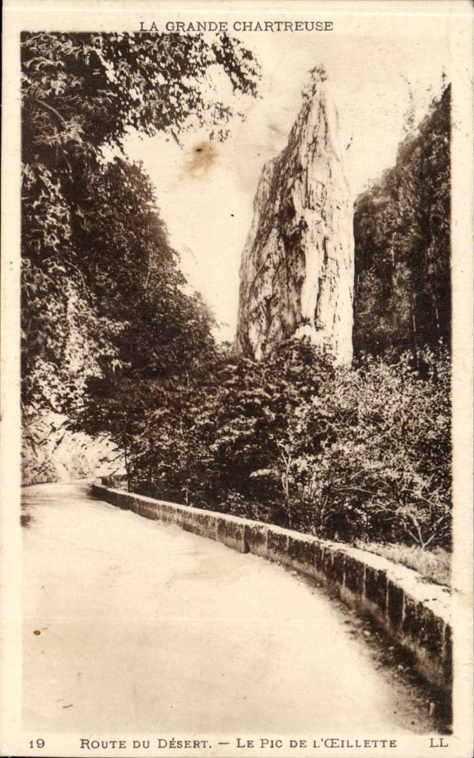 CPA grosse Chartreuse Strasse der Wuste die Spitze der olmohnblume