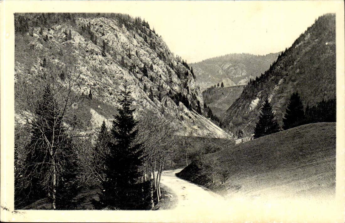 The Jura CPA Valley of Morez to the Russet-red ones