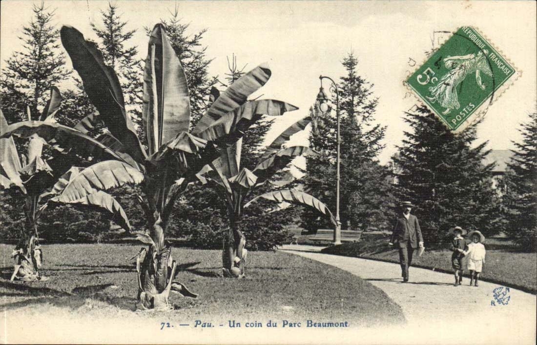 Pau CPA eine Ecke des Beuamont Parks (Bananenbanane)