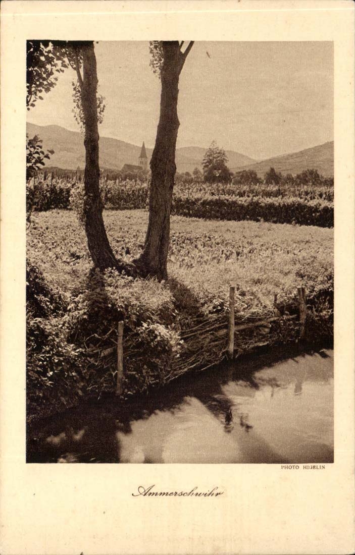 Alsace and the Vosges CPA Ammerschwihr