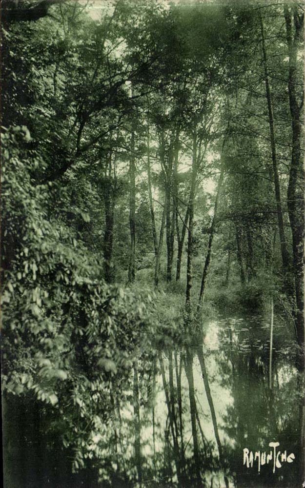 Chavagnes Paillers CPA in der Brut Ursulines von Jesus