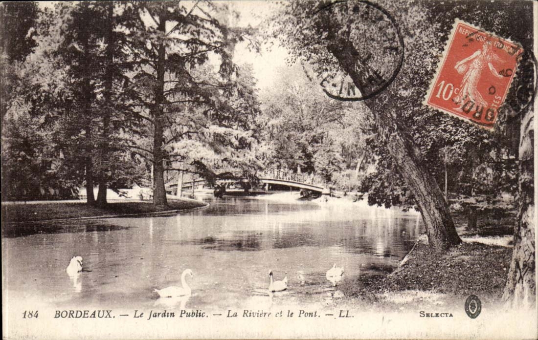 Bordeaux CPA the public garden the river and the bridge (swans)