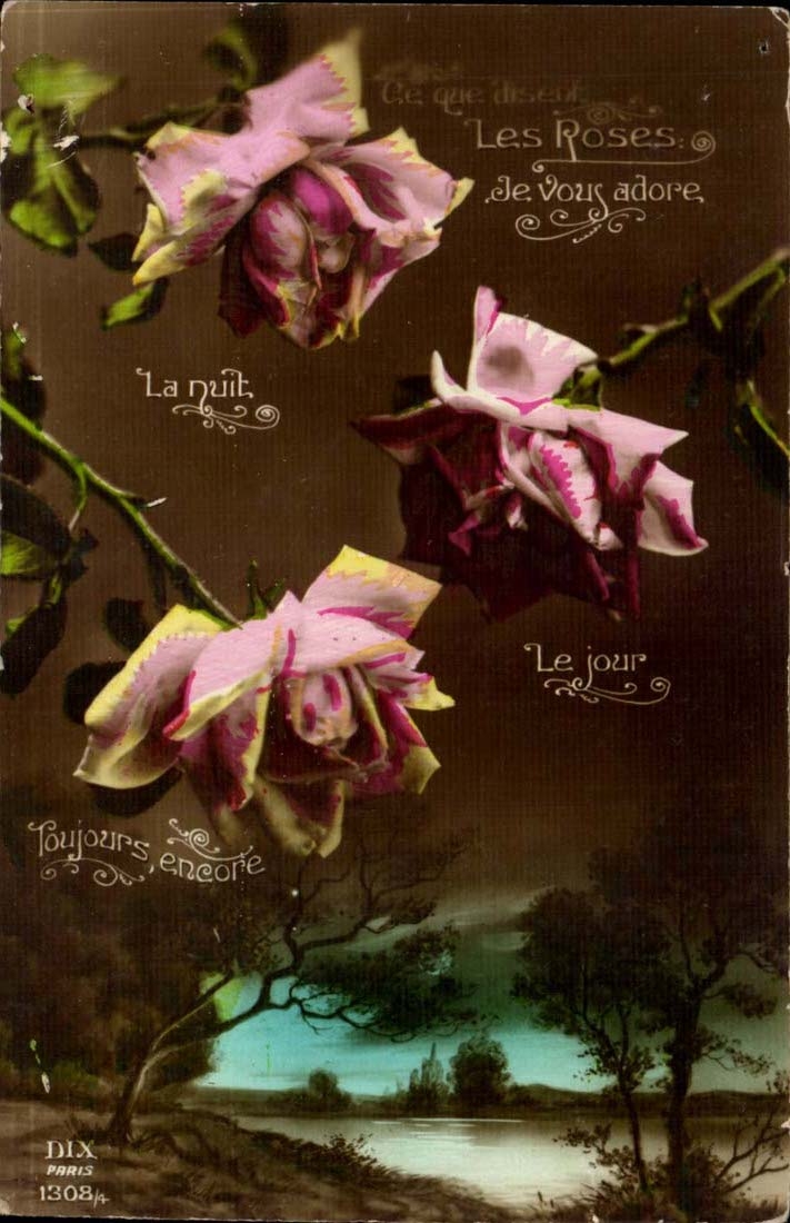 CPA Fantasy Felurs Roses