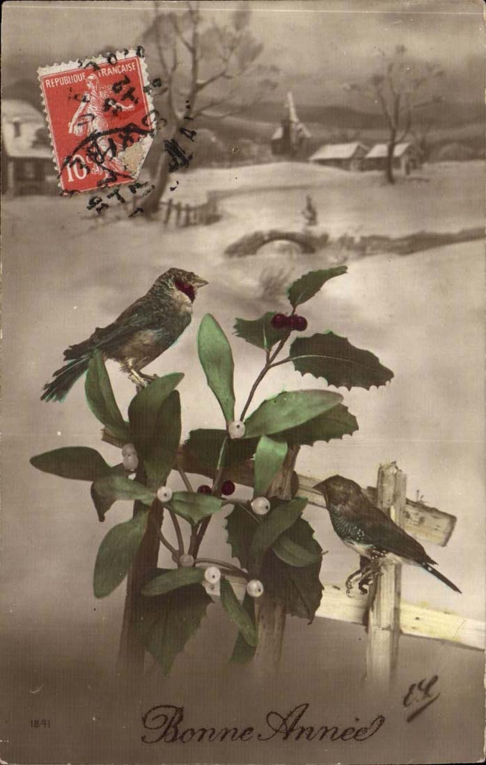 CPA Fantasy Flowers Happy New Year Birds